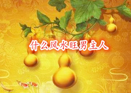 什么风水旺男主人 什么风水旺男主人