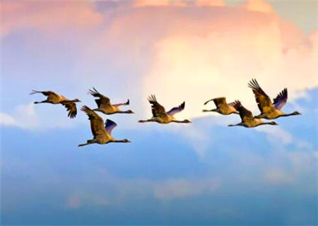 八字看流年吉凶断语 八字看流年吉凶断语