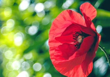 西南角风水旺女人 西南角风水旺女人