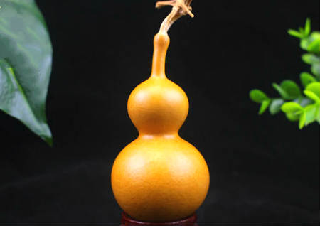 西南角风水旺女人 西南角风水旺女人