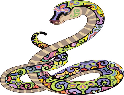 蛇爸爸和兔妈妈生什么宝宝好