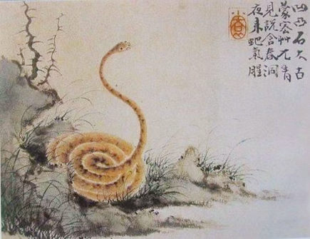 蛇爸爸和蛇妈妈生什么宝宝好