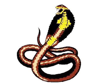 蛇爸爸和羊妈妈生什么宝宝好