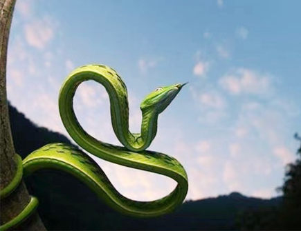 蛇爸爸和猴妈妈生什么宝宝好