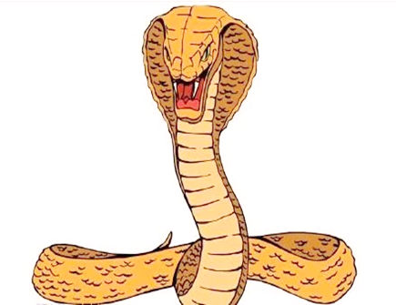 蛇爸爸和猪妈妈生什么宝宝好