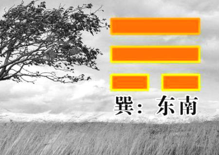 家里哪个方位代表女儿 家里哪个方位代表女儿