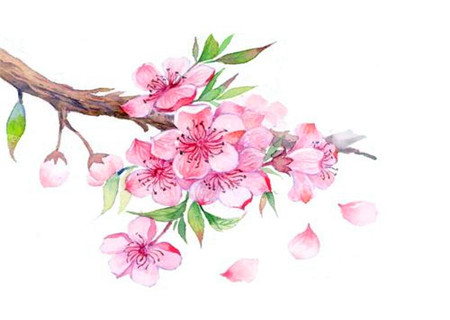 易招烂桃花的女命八字 易招烂桃花的女命八字