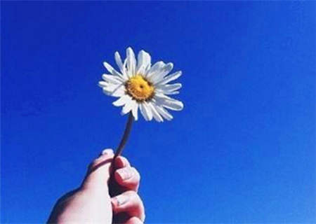 品行好的男命八字特征 品行好的男命八字特征