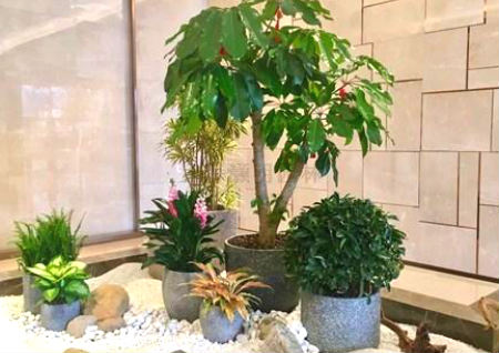 办公室横梁压顶的危害 办公室横梁压顶的危害