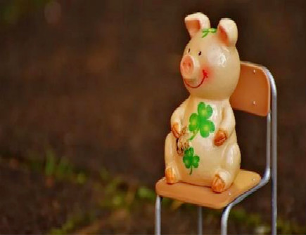 猪爸爸和牛妈妈生什么宝宝好