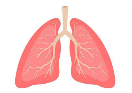 什么风水对肺不好 什么风水对肺不好
