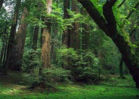 断八字衰旺的快速方法 断八字衰旺的快速方法