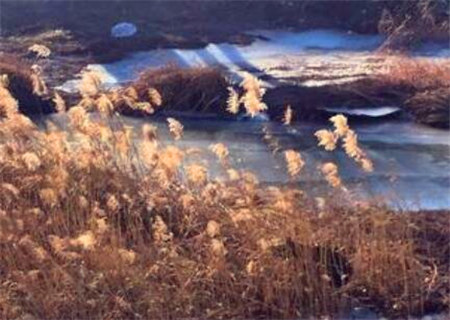 断八字衰旺的快速方法 断八字衰旺的快速方法