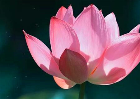 为人正直正派八字格局特征 为人正直正派八字格局特征