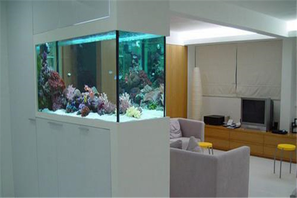 住宅鱼缸摆放风水禁忌


