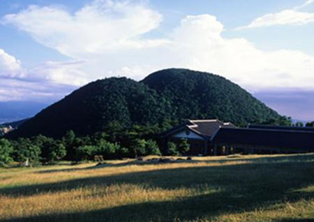 最好案山是什么形状