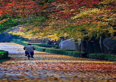 容易丧偶的八字特征