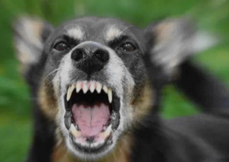 家里阴气重的几种表现