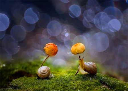 婚姻多波折的女命八字