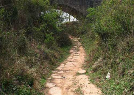 大驿土命之人的运势特点 大驿土命之人的运势特点