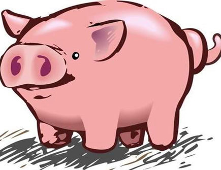 属猪2021年三月运势