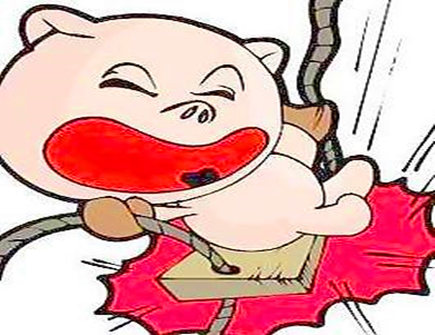 属猪2021年四月运势 属猪2021年四月运势