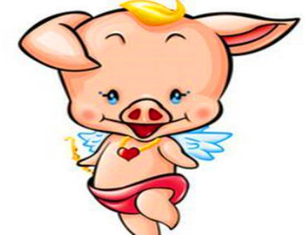 属猪2021年七月运势 属猪2021年七月运势