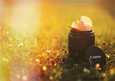 痴情的男命八字特征 痴情的男命八字特征