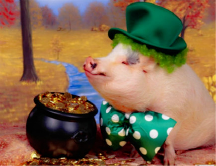 属猪人的幸运物有哪些