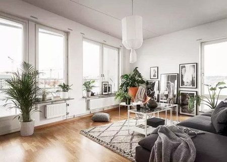 客厅招财风水植物及宜忌 客厅招财风水植物及宜忌