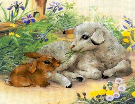 属兔和属羊合不合