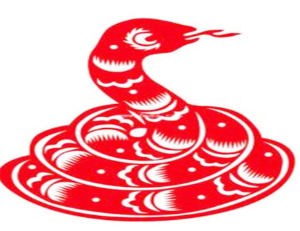 属蛇和属龙合不合 属蛇和属龙合不合