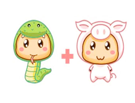 属蛇和属猪合不合