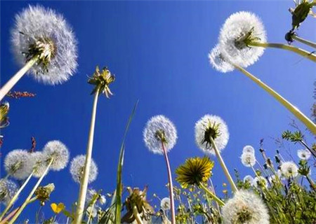 偏官在四柱的意义和作用 偏官在四柱的意义和作用