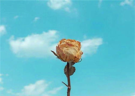 哪些八字的人聪明有心计