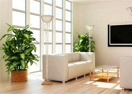 让家里变旺的风水技巧 让家里变旺的风水技巧