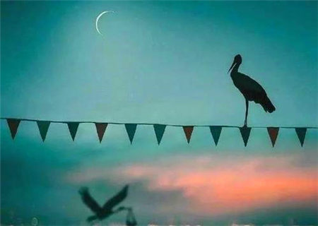 不易相处之人的八字特征 不易相处之人的八字特征