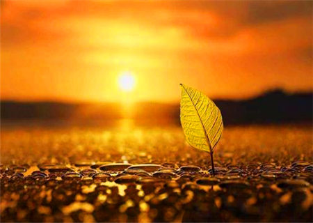 不易相处之人的八字特征 不易相处之人的八字特征