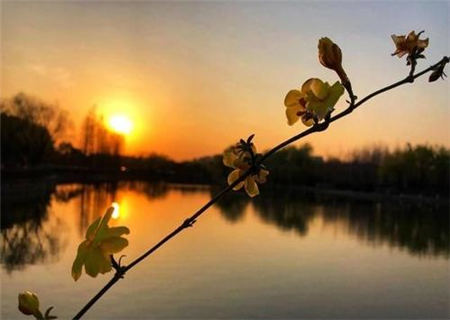 什么样的八字清高 什么样的八字清高