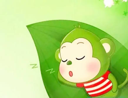  属猴和属猪合不合