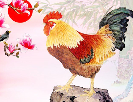 属鸡和属兔合不合