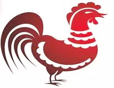 属鸡和属羊合不合 属鸡和属羊合不合