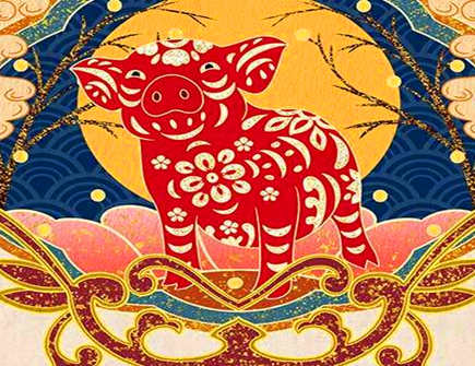 属猪和属蛇合不合