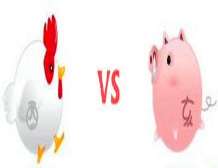 属猪和属鸡合不合