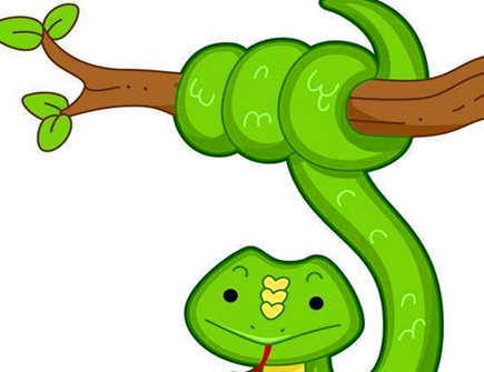 属蛇和属鼠的孩子属什么好