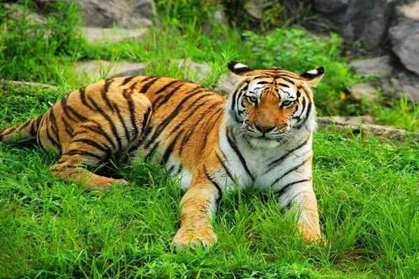 八字五行颜色的实际应用 八字五行颜色的实际应用