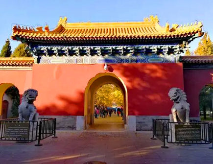 石狮子的摆放禁忌及作用