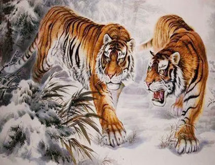 两个属虎人在一起合不合财