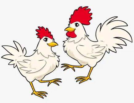 两个属鸡人在一起合不合财 两个属鸡人在一起合不合财