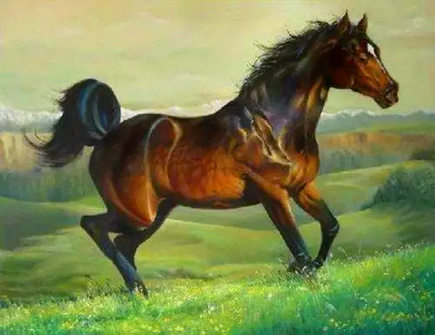 属马什么情况下不想再被爱